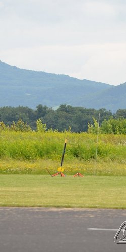 2013 Suche 29062013 Michal